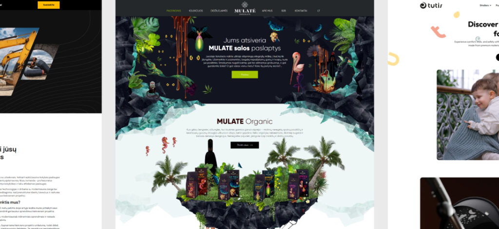 custom-website-development-with-elementor