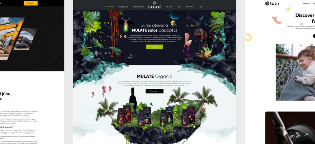 custom-website-development-with-elementor